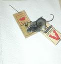 mouse_in_two_traps.jpg